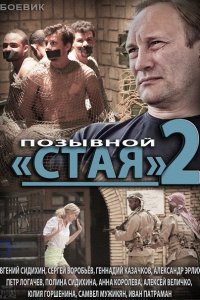 Позывной "Стая" 2 (2014) SATRip