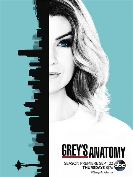 Анатомия Грей / Анатомия страсти (13 сезон) / Greys Anatomy (2016) WEB-DLRip