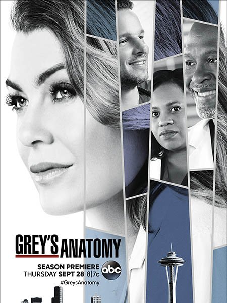 Анатомия Грей / Анатомия страсти (14 сезон) / Greys Anatomy (2017) WEBRip