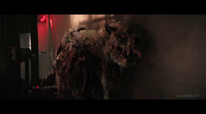 Нажмите для просмотра в оригинальном размере