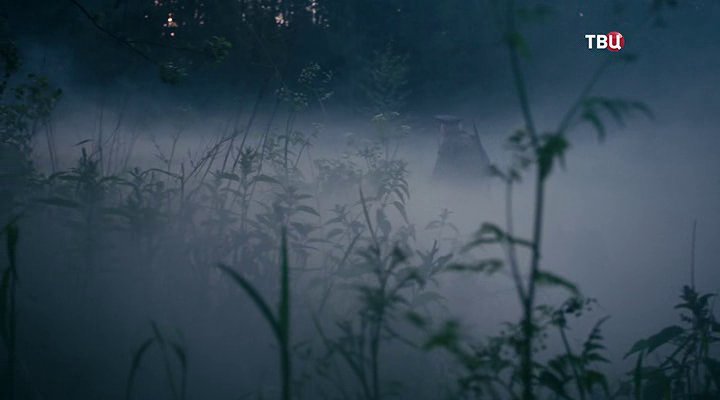 Нажмите для просмотра в оригинальном размере