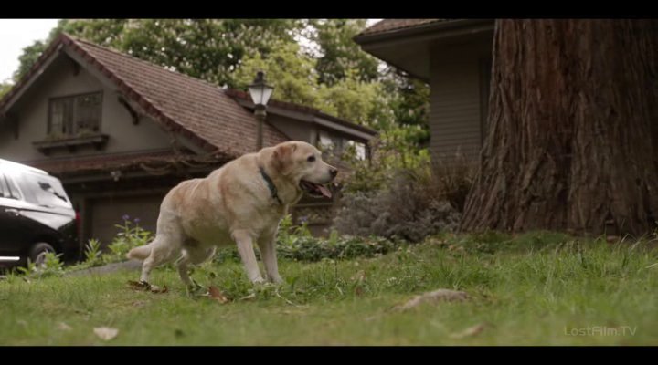 Нажмите для просмотра в оригинальном размере